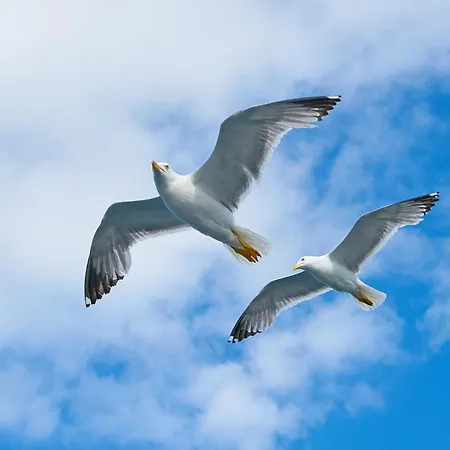 Kuestenquartier Dornumersiel Dornum