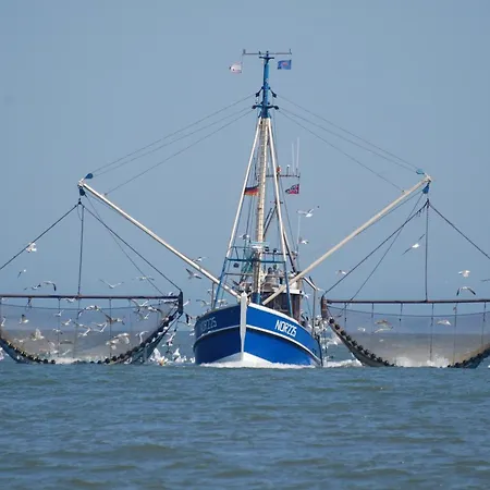 Kuestenquartier Dornumersiel Διαμέρισμα Dornum