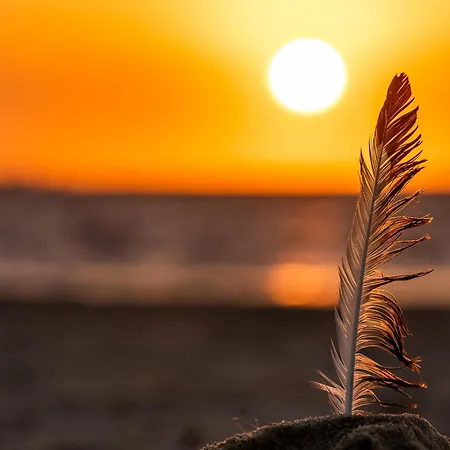 Kuestenquartier Dornumersiel Διαμέρισμα *