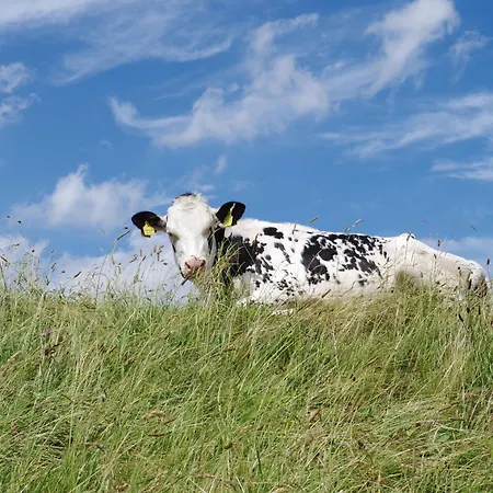 Διαμέρισμα Kuestenquartier Dornumersiel Dornum