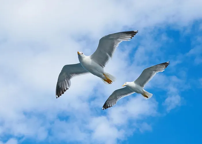 Kuestenquartier Dornumersiel Dornum