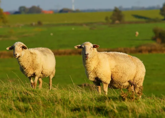 Appartement Kuestenquartier Dornumersiel *