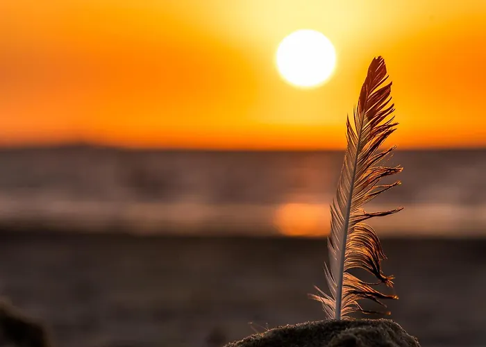 Kuestenquartier Dornumersiel Appartement *