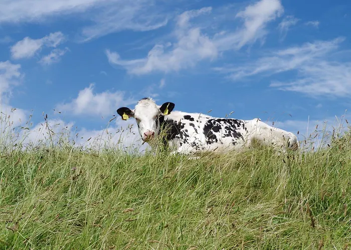 Appartement Kuestenquartier Dornumersiel Dornum